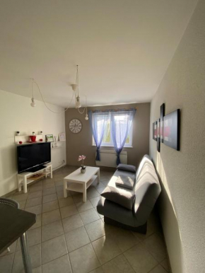T1 Sympathique logement a Thann